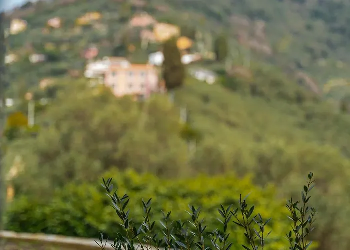 - Con Roccia Naturale Apartment